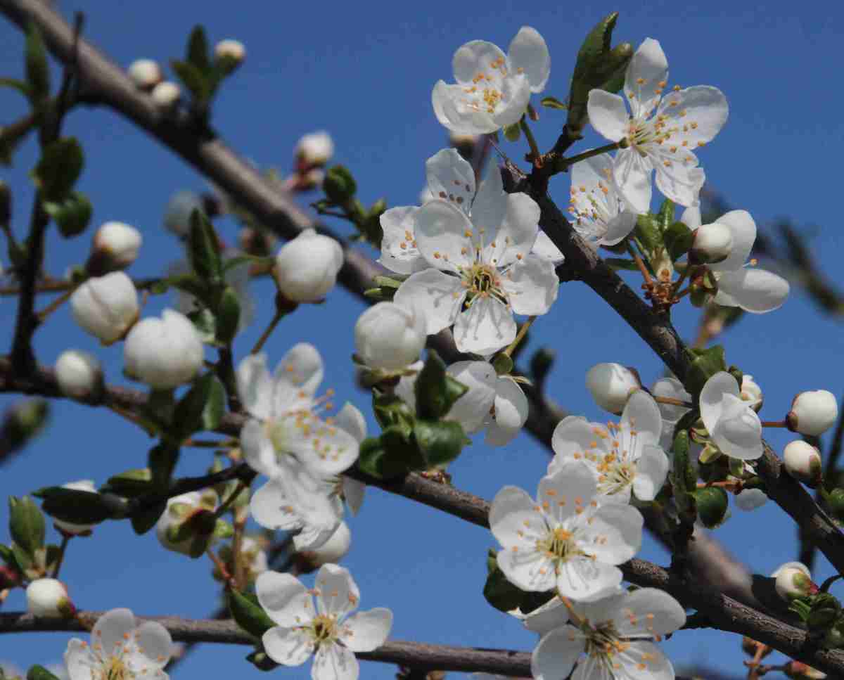 Vom Scharf machen und&nbsp;Behalten